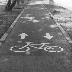 Guía sobre el uso compartido de vías ciclistas